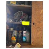 Contents of Left Side of Shelf Including Spray Paint