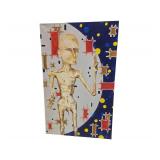 "Creation Tryptic" - Oil on Canvas - 30" x 48"