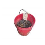 5 Gallon Bucket Full of Chain