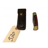 Buck 110C With Sheath