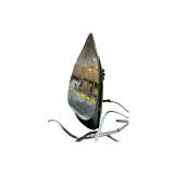 Rowenta Iron - Like New