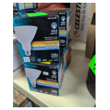 250w LED Replacement Bulb