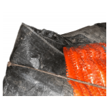 A Plethora of Plastic Fencing