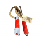 2-Battery Operated Syphon Pumps