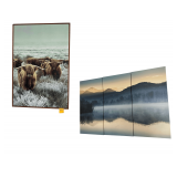 Canvas Art Work 37”H. X 25”W. - 40”L. X 20”W.