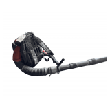 Echo Gas Powered Backback Blower