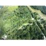 7+- Acres w/ Oil and Gas Rights Auction - South Beaver, PA