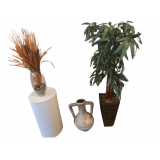 Plants and Vases