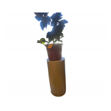 30: Cylinder Stand - Plant
