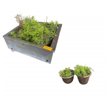 Stainless Steel Ice Bin Fashioned Into Planter on Rolling Stand