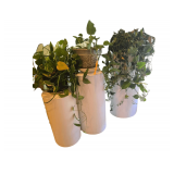 30-36" Cylinders Stand - Plant