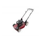 Toro Recycler Self Propelled Mower - 190cc