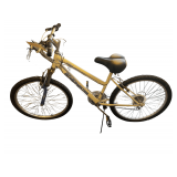 Roadmaster Mountain Sport 6 Speed Mountain Bike