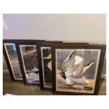 4-Framed/Matted Bird Prints 29”H. X 24”W.