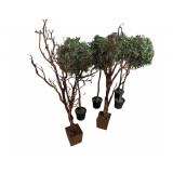 Faux Tree Assortment Approximately 4’H.