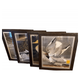 4-Framed/Matted Bird Prints 29”H. X 24”W.