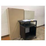 Plastic Push Cart 27' x 18' x 33' with 2 Filing Cabinets