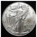2023 AMERICAN SILVER EAGLE