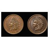 1904 & 1908 INDIAN CENTS BU