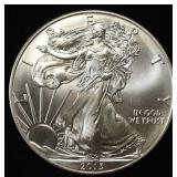 2013 AMERICAN SILVER EAGLE