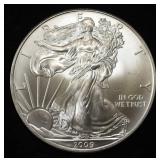 2009 AMERICAN SILVER EAGLE
