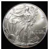 2002 AMERICAN SILVER EAGLE