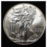 2013 AMERICAN SILVER EAGLE