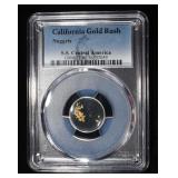 CALIFORNIA GOLD RUSH NUGGETS S.S. CENTRAL AMERICA