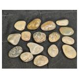 Tumbled Stones: Basic Granite, Quartzite, Agate