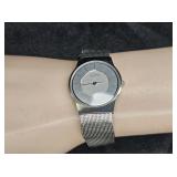 Skagen Ladies Steel Mesh Wrist Watch