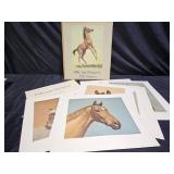 Portfolio of Colts & Champions by CW Anderson