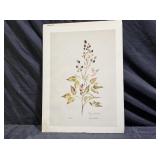 Color Limited Edition Print by Perry Winkler