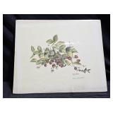 Signed L.E. "Strawberries" Print by Perry Winkler