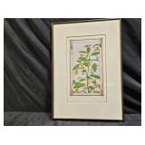 L.E. "Spotted Jewelweed" Print by Jay Pfeil