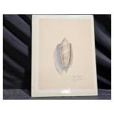 Signed Print by Perry Winkler