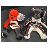 2 Nascar Team Speed Dale Ernhart Bears