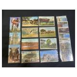 42 Vintage Texas Post Cards