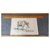 Vintage Horse Print "Comanche"
