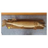 Mounted 42" Northern Pike on a 47" Board