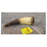 Antique Small Powder Horn 6 inches tacked