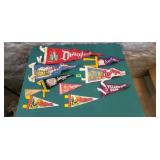 Collectible Travel Souvenier Pennants Assorted