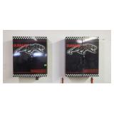 (2) Metal Duramix Parts Cabinets