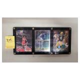 Framed Sports Memorbilia: Jordan, Radke, Favre
