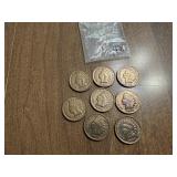 (8) Shiny Indian Head Pennies