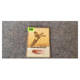 Pheasant Picture--G-T Brain, Huron, SD Snafu Bldg