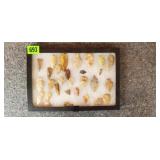 Assortment of Arrowheads in Framed Case