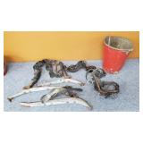 Horse Tack & Vintage Metal Pail