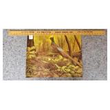 Pheasant in the Woods Print 20"x16" Litho By
