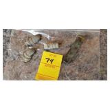 Spent Lead, Shell Reportedly Found South Dakota