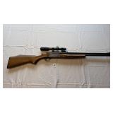 Savage 24V Series D 20 ga.x222 cal. With Scope